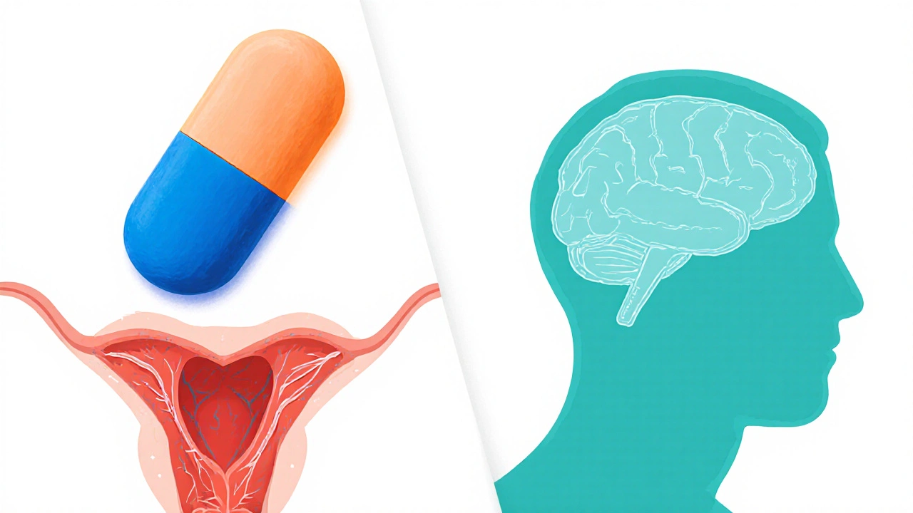 Malegra FXT vs Other ED Meds: Full Comparison of the Sildenafil‑Fluoxetine Combo